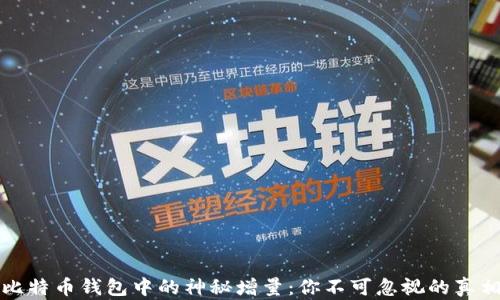 
比特币钱包中的神秘增量：你不可忽视的真相