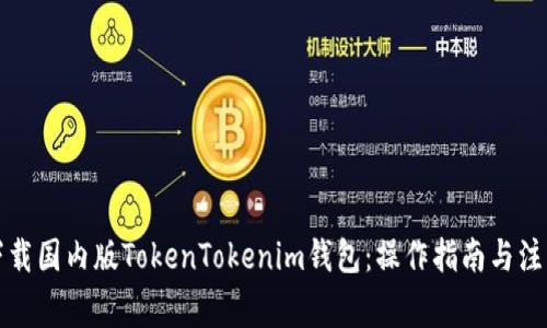 如何下载国内版TokenTokenim钱包：操作指南与注意事项
