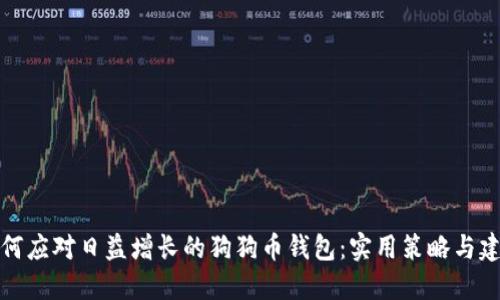 如何应对日益增长的狗狗币钱包：实用策略与建议