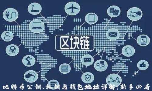 
比特币公钥、私钥与钱包地址详解：新手必看