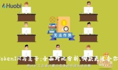 TokenIM与麦子：全面对比分