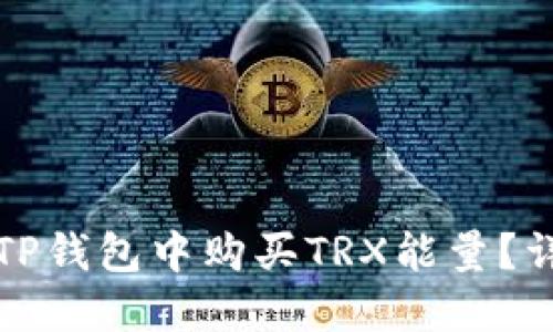 如何在TP钱包中购买TRX能量？详细指南