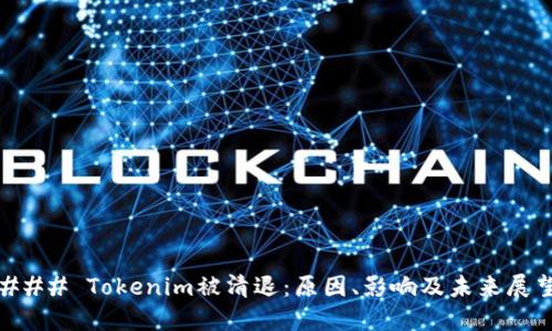 ### Tokenim被清退：原因、影响及未来展望