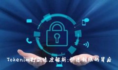 Tokenim打款速度解析：快速