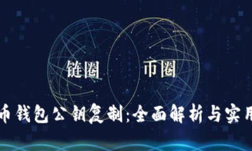 比特币钱包公钥复制：全面解析与实用指南