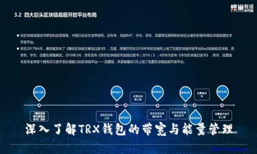 深入了解TRX钱包的带宽与能量管理