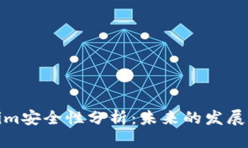 Tokenim安全性分析：未来的发展与挑战