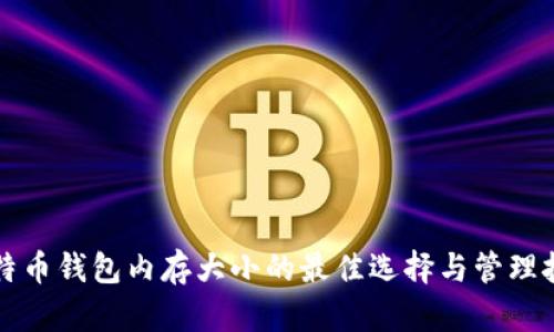 比特币钱包内存大小的最佳选择与管理技巧