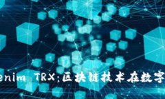 深入了解Tokenim TRX：区块链