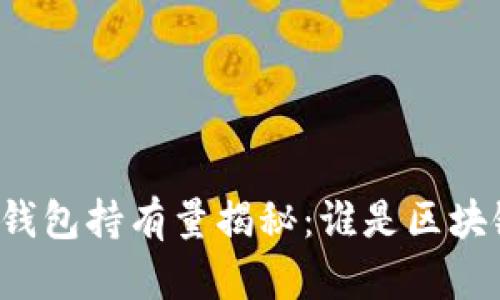 比特币最大钱包持有量揭秘：谁是区块链里的巨头？