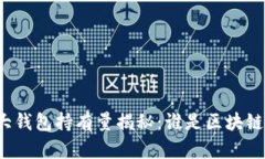比特币最大钱包持有量揭