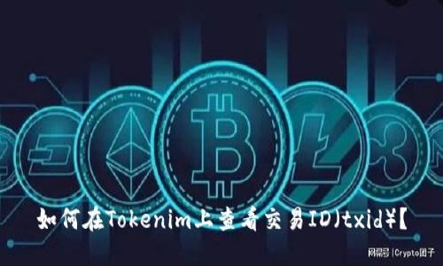 如何在Tokenim上查看交易ID（txid）？