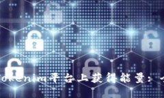 如何在Tokenim平台上获得能