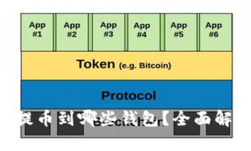 XRP可以提币到哪些钱包？全面解析与推荐