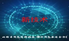 比特币钱包选择指南：哪