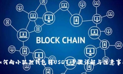 如何向小狐狸钱包转USDT:步骤详解与注意事项