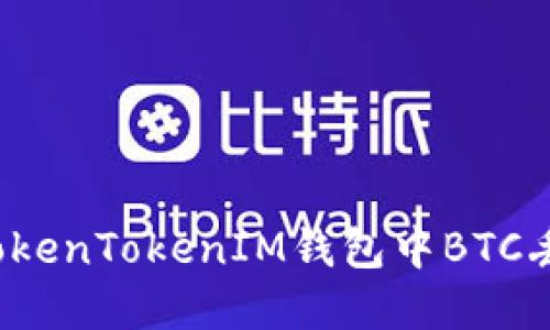 如何解决TokenTokenIM钱包中BTC丢失的问题？