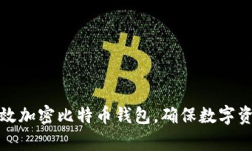 如何有效加密比特币钱包，确保数字资产安全