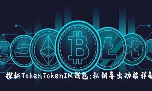 : 探秘TokenTokenIM钱包：私钥导出功能详解