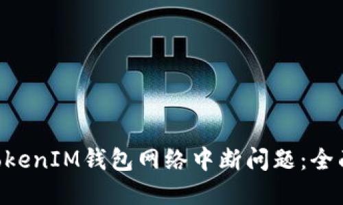 如何解决TokenTokenIM钱包网络中断问题：全面指南与解决方案