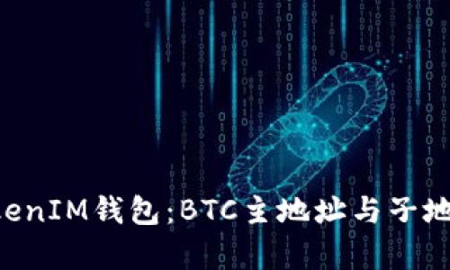 探秘TokenTokenIM钱包:BTC主地址与子地址的全面解析