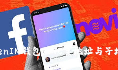 探秘TokenTokenIM钱包：BTC主地址与子地址的全面解析