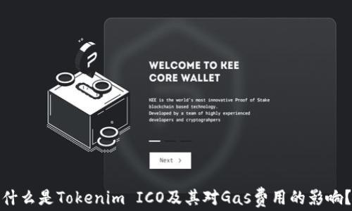 
什么是Tokenim ICO及其对Gas费用的影响？
