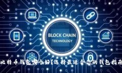 比特币钱包哪个好？选择