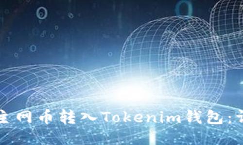 如何将主网币转入Tokenim钱包：详细指南