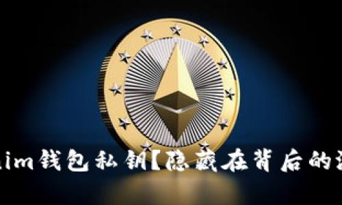 如何安全保存Tokenim钱包私钥？隐藏在背后的潜在风险与最佳实践