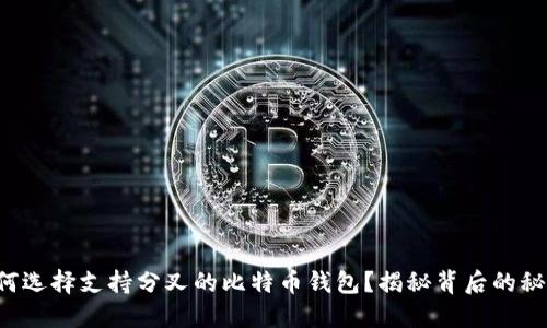 如何选择支持分叉的比特币钱包？揭秘背后的秘密！