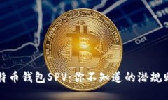 深入了解比特币钱包SPV：