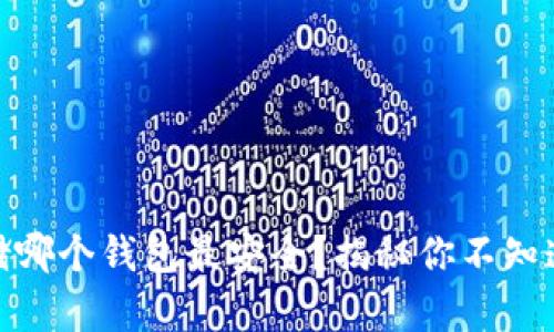 USDT存储哪个钱包最安全？揭秘你不知道的选择！