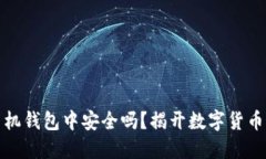 狗狗币在手机钱包中安全