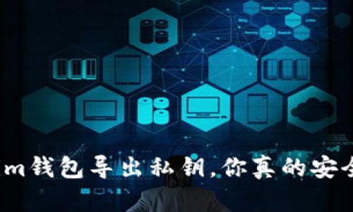 Tokenim钱包导出私钥，你真的安全了吗？