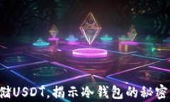 如何安全存储USDT，揭示冷