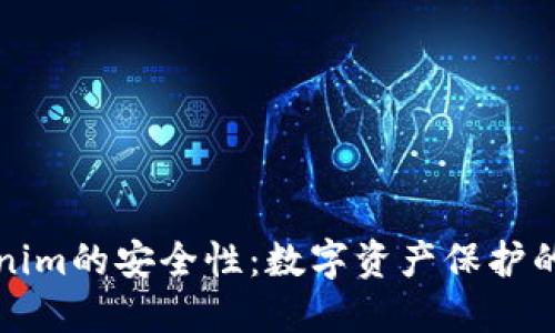 探索Tokenim的安全性：数字资产保护的迷雾背后