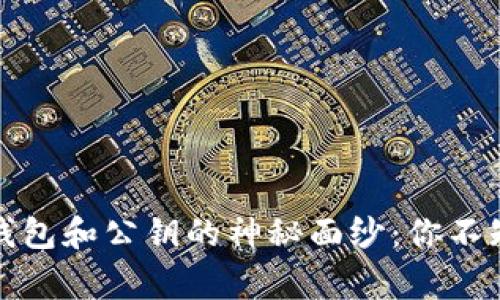 揭开以太坊钱包和公钥的神秘面纱：你不知道的那些事