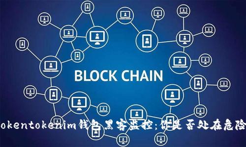 揭秘Tokentokenim钱包黑客监控：你是否处在危险之中？