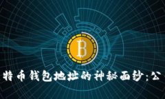 bioati揭开比特币钱包地址