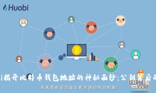 bioati揭开比特币钱包地址的神秘面纱：公钥背后的故事