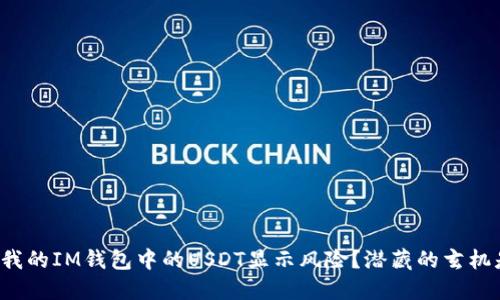 为什么我的IM钱包中的USDT显示风险？潜藏的玄机是什么？