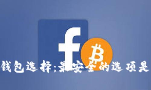 USDT钱包选择：最安全的选项是什么？