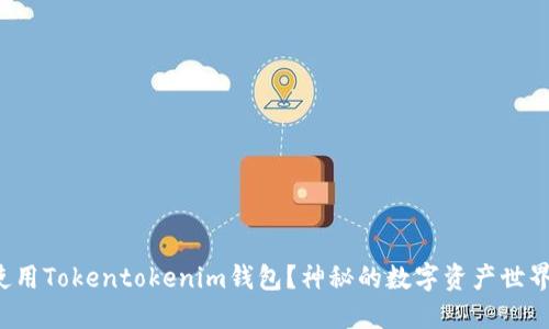 如何下载和使用Tokentokenim钱包？神秘的数字资产世界等你来探索！