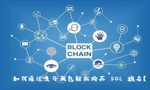   如何通过麦子钱包轻松购买 SOL 域名？