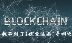 狗狗币钱包找不到了？探