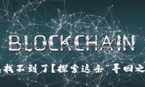 狗狗币钱包找不到了？探索这条“寻回之路”的秘密！