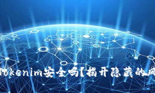 把钱放在Tokenim安全吗？揭开隐藏的风险与机遇