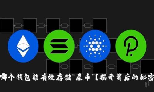 哪个钱包能有效存储“屎币”？揭开背后的秘密