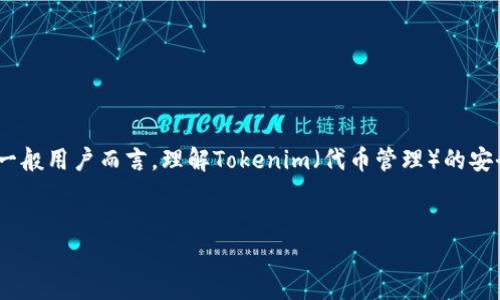 在网络时代，Tokenim的安全性问题引发了众多用户的关注。对于一般用户而言，理解Tokenim（代币管理）的安全性，可以从多个方面进行分析。以下是一个围绕这个主题的大纲。


Tokenim：你不知道的隐患与安全保障，如何保护你的资产？